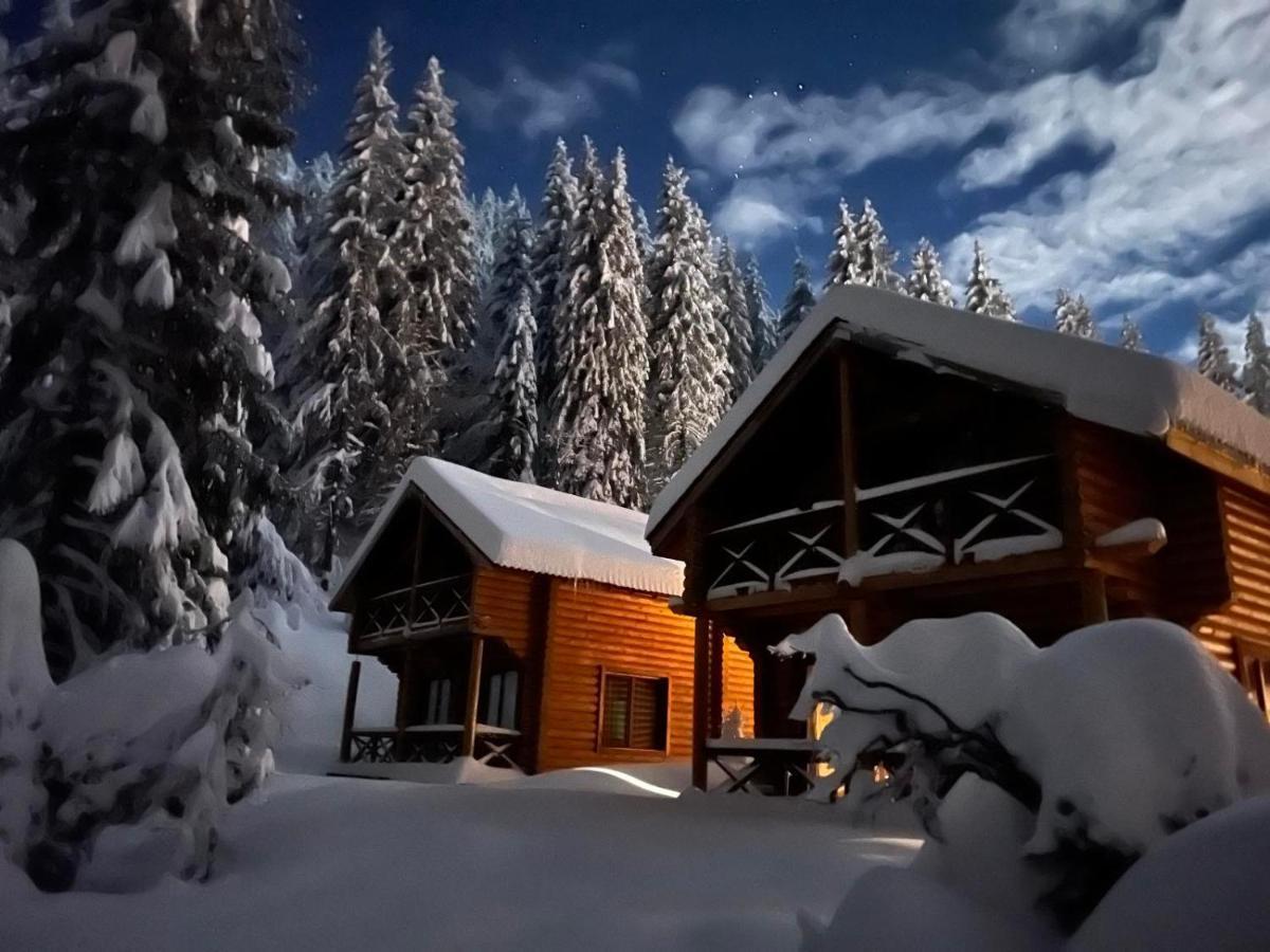 власовъ Hotel 3*